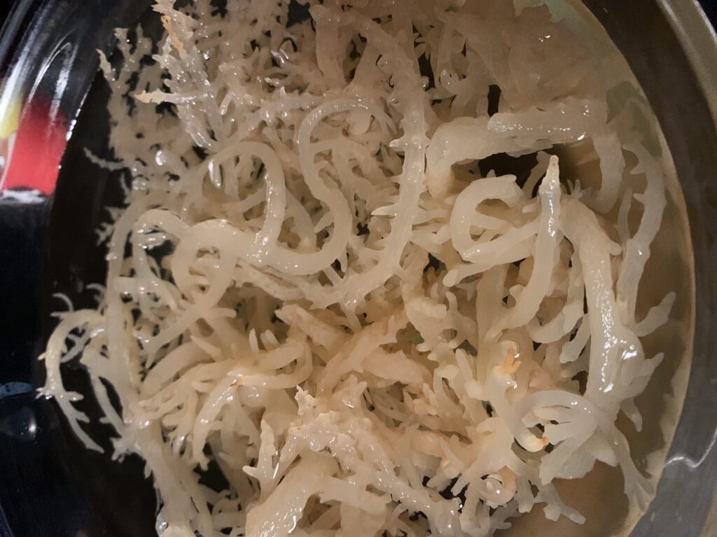 preparing sea moss